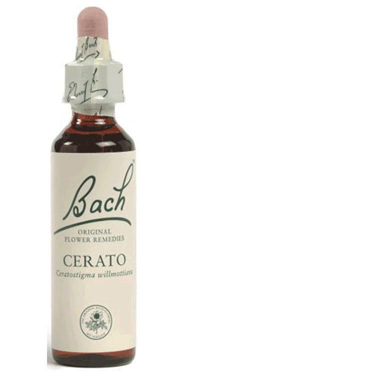 Bach Flower Remedies Cerato 20ml - Laag zelfbeeld