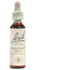 Bach Flower Remedies Chestnut Bud 20ml - falen om te leren van ervaring