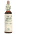 Bachblüten-Heilmittel Chicorée 20 ml – Bei Überfürsorglichkeit