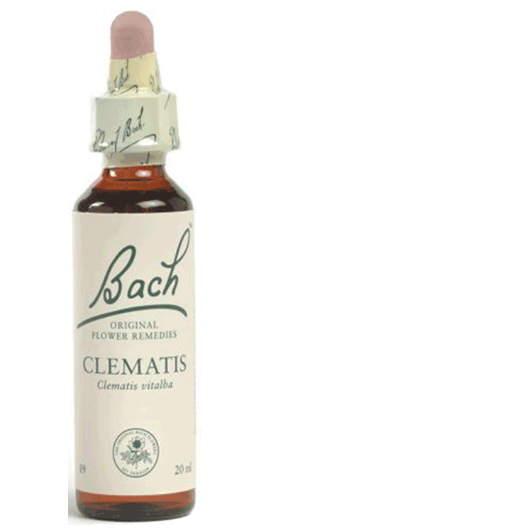 Fleurs de Bach Clématite 20 ml - Perte de concentration