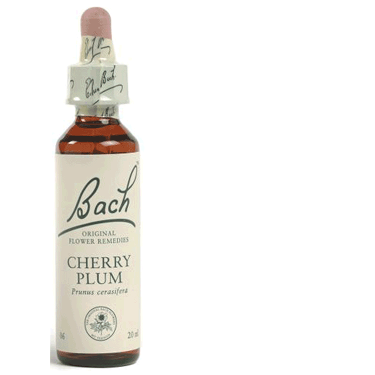 Bach Flower Remedies Cherry Plum 20ml - Fearfulness and Negative Feelings