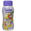 Fortini Smoothie 200ml - Summer Fruits Flavour