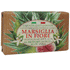 Nesti Dante Fig e Aloe Gift Soap 125G - dall'Italia